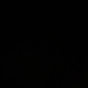 Meet your Posher, Pearl